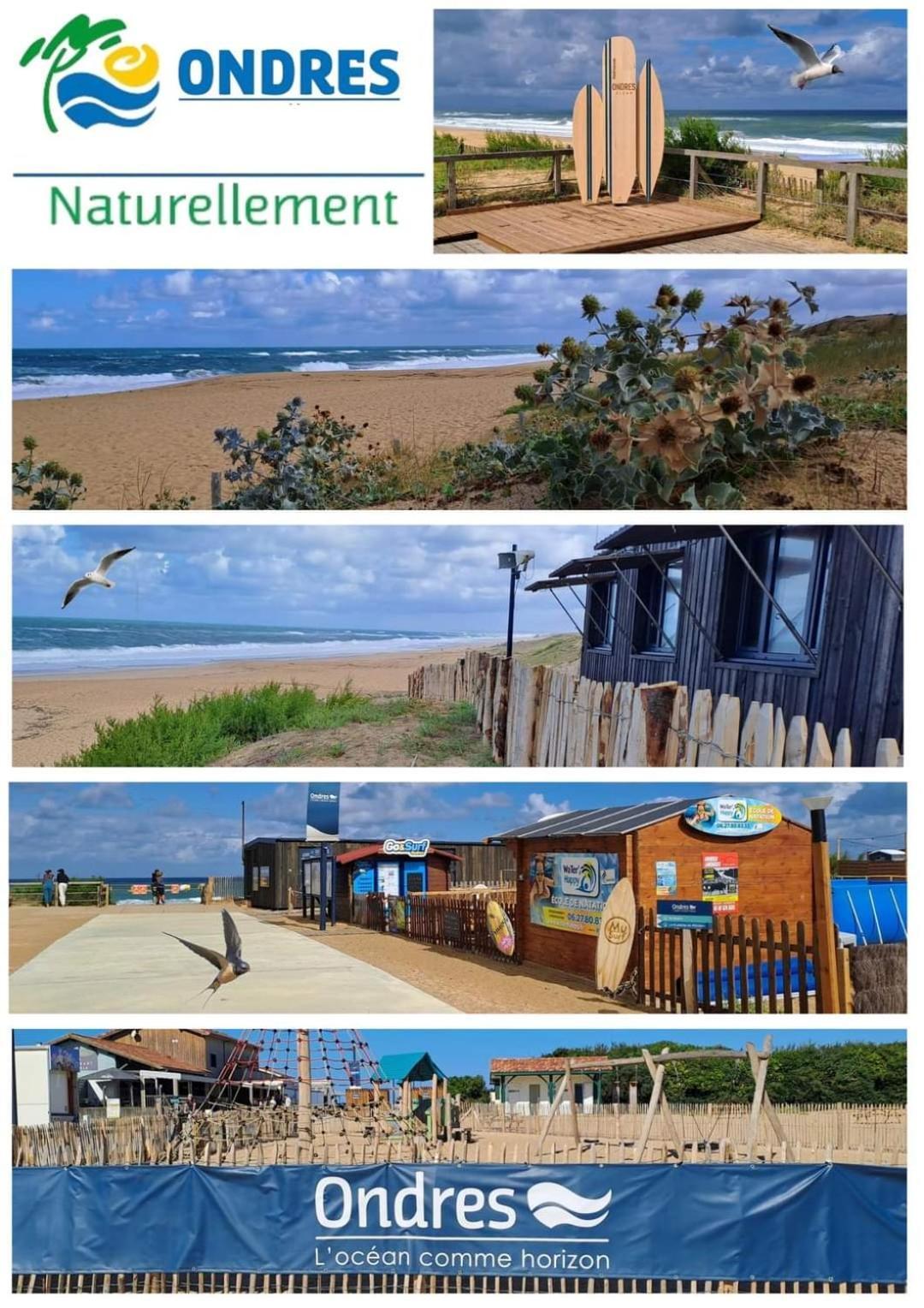 T2 Turquoise Ondres Plage Avec Piscine Et Tennis Zewnętrze zdjęcie